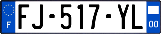 FJ-517-YL