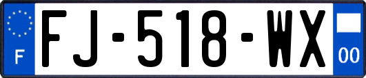 FJ-518-WX