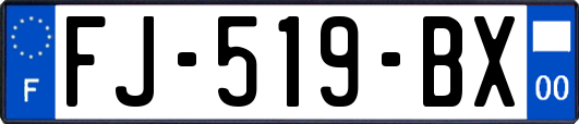 FJ-519-BX