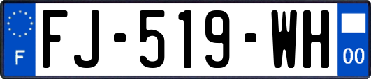 FJ-519-WH