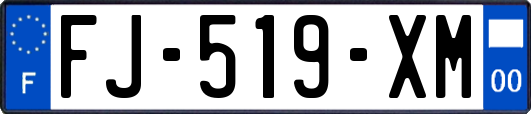 FJ-519-XM