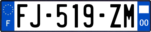 FJ-519-ZM