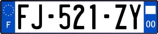 FJ-521-ZY