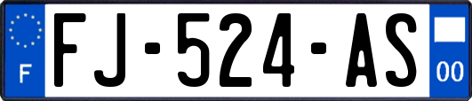 FJ-524-AS