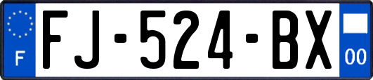 FJ-524-BX