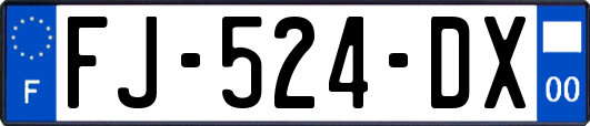 FJ-524-DX