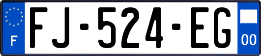 FJ-524-EG