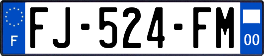 FJ-524-FM