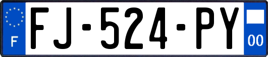 FJ-524-PY