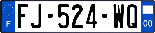 FJ-524-WQ