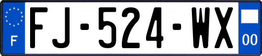 FJ-524-WX