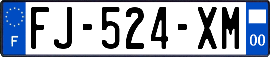 FJ-524-XM