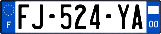 FJ-524-YA