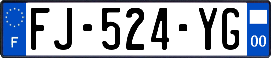 FJ-524-YG