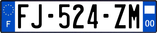 FJ-524-ZM