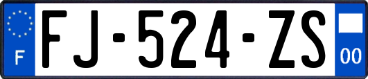 FJ-524-ZS