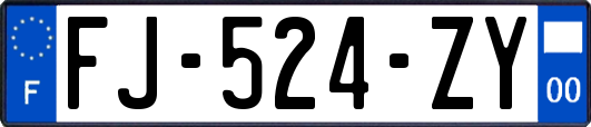 FJ-524-ZY