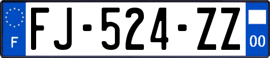 FJ-524-ZZ