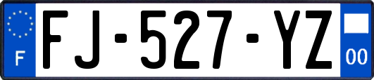 FJ-527-YZ