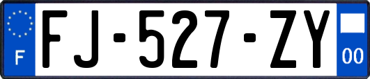 FJ-527-ZY