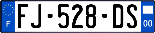 FJ-528-DS
