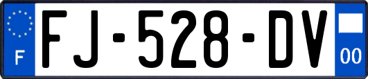 FJ-528-DV