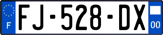 FJ-528-DX