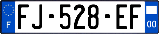 FJ-528-EF