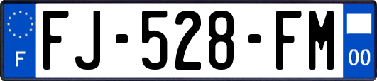 FJ-528-FM