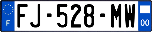 FJ-528-MW