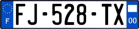 FJ-528-TX