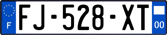 FJ-528-XT