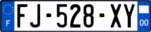 FJ-528-XY