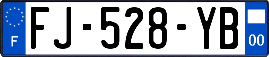 FJ-528-YB