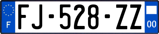 FJ-528-ZZ