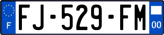 FJ-529-FM
