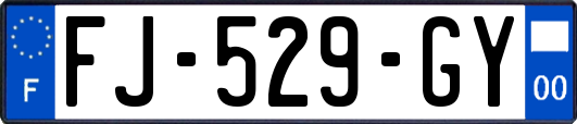 FJ-529-GY