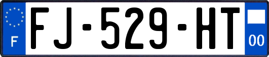 FJ-529-HT