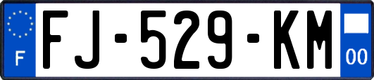 FJ-529-KM