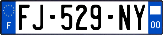 FJ-529-NY