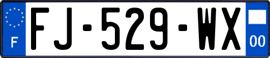 FJ-529-WX