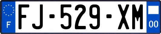 FJ-529-XM