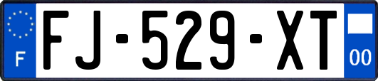 FJ-529-XT