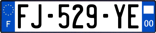 FJ-529-YE