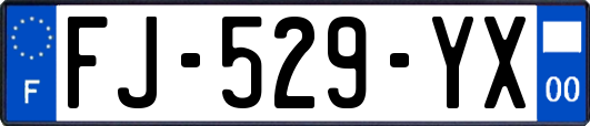 FJ-529-YX