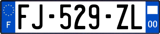 FJ-529-ZL