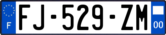 FJ-529-ZM