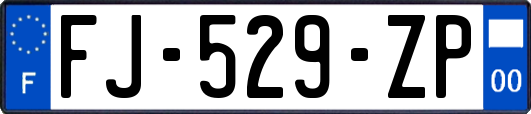 FJ-529-ZP