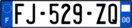 FJ-529-ZQ