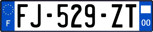 FJ-529-ZT